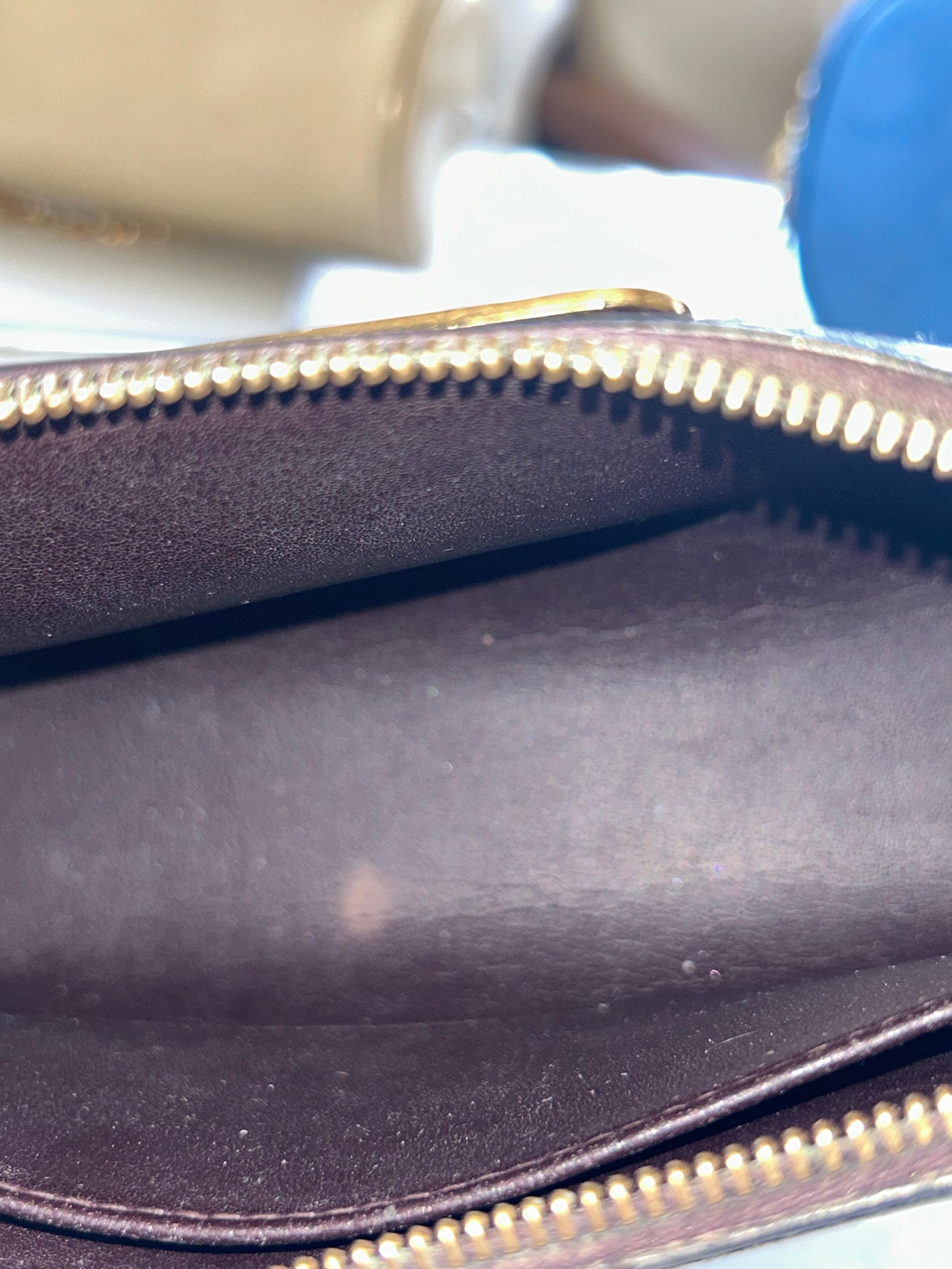 Louis Vuitton Vernis Pouch